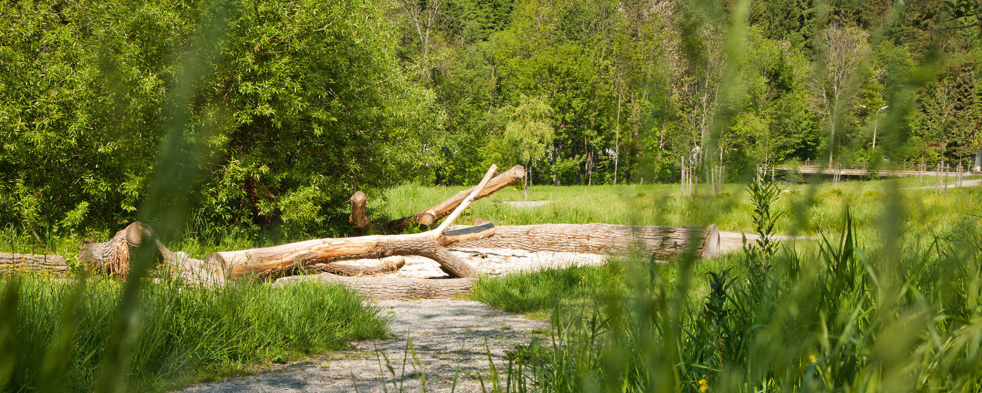 Park mit einem schönen Weg entlang der Natur