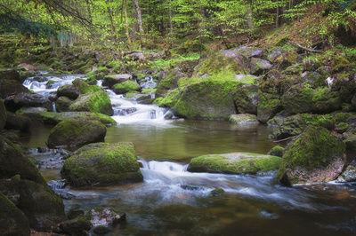 Buchberger Leite mit kleinem Fluss, der durch die großen bemoosten Steine fließt
