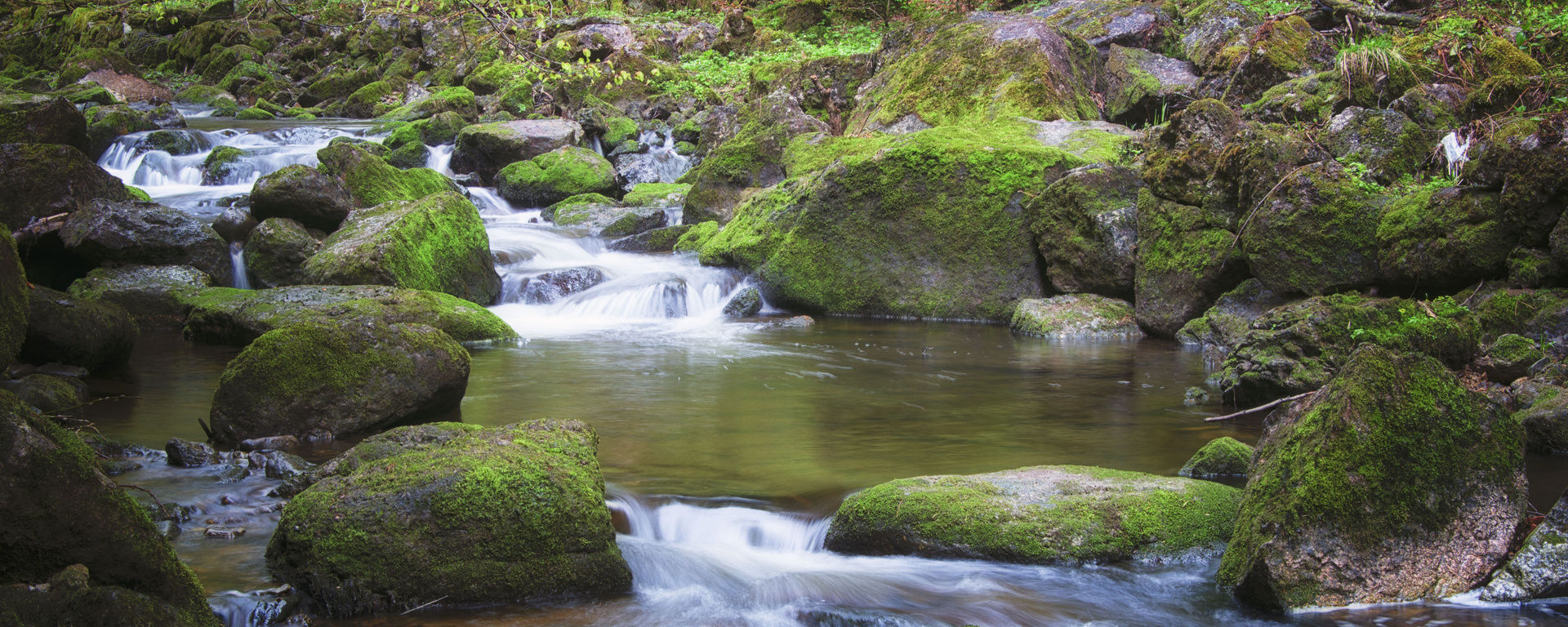 Buchberger Leite mit kleinem Fluss, der durch die großen bemoosten Steine fließt