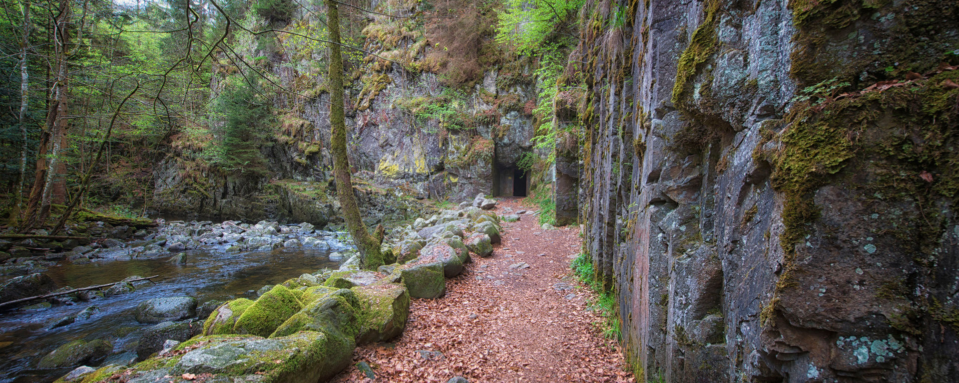 Wanderweg im Wald entlang einer großen Steinwand