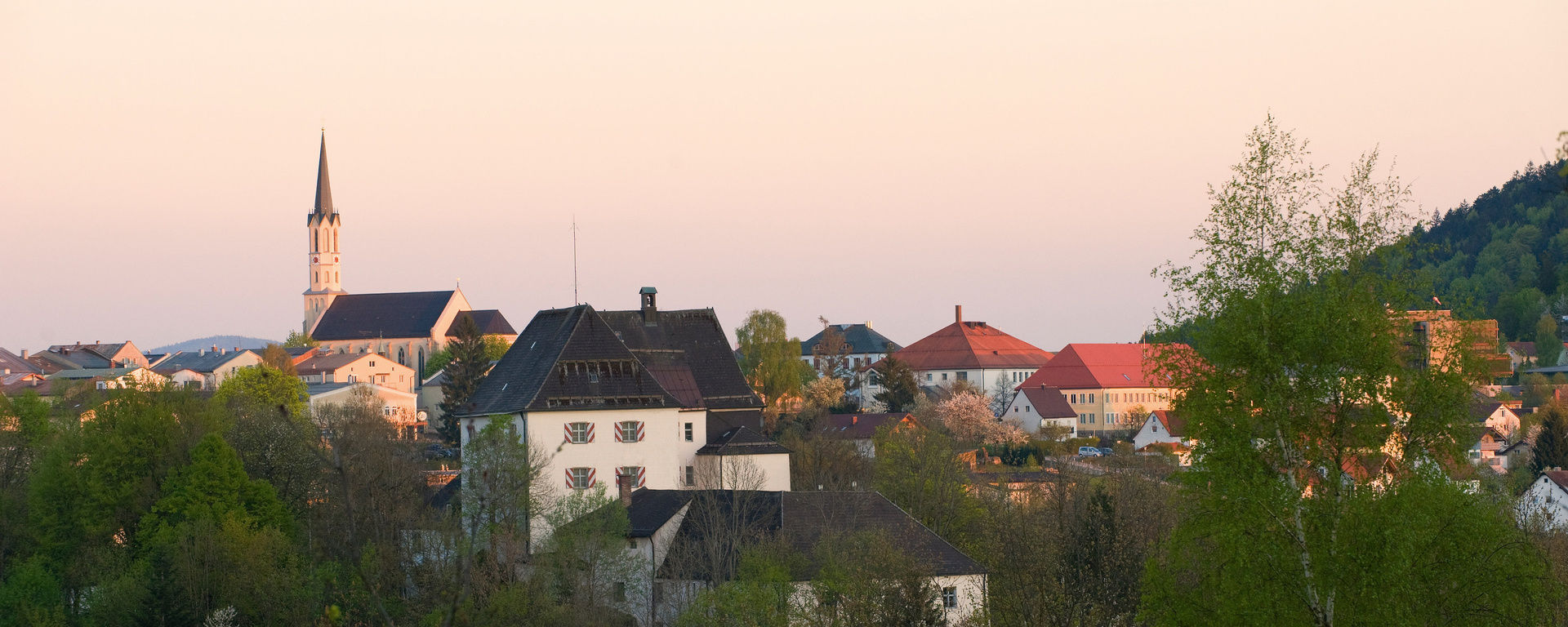 Blick über sie Stadt Freyung bis hin zur Kirche am Stadplatz umgeben von Bäumen