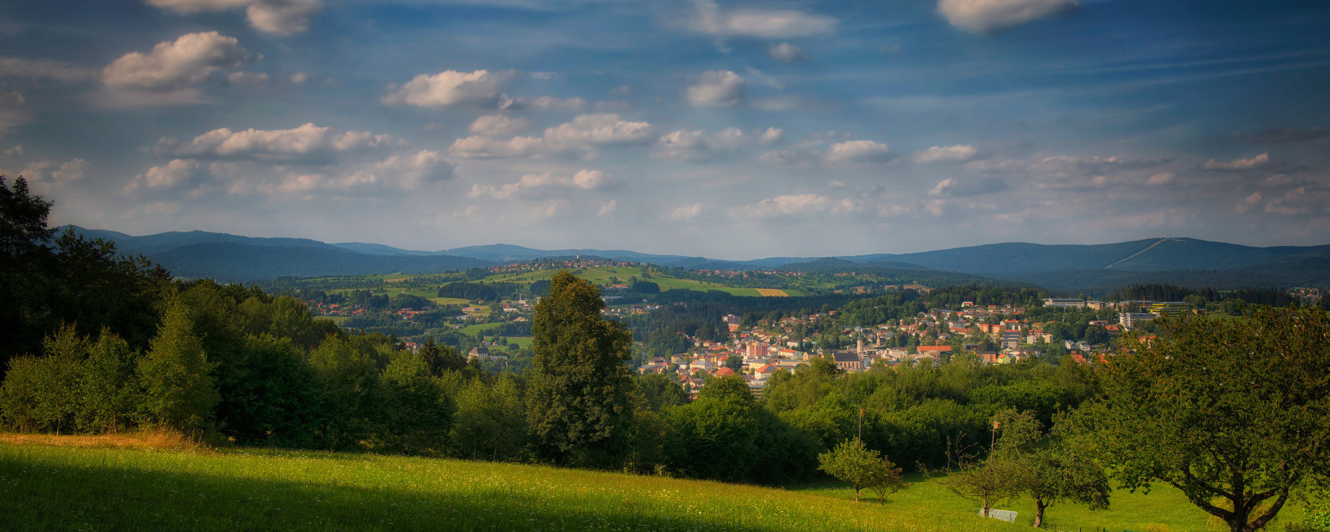 Panorama über Freyung mit vielen großen Bäumen und Wiesen bei Sonnenschein und blauem Himmel