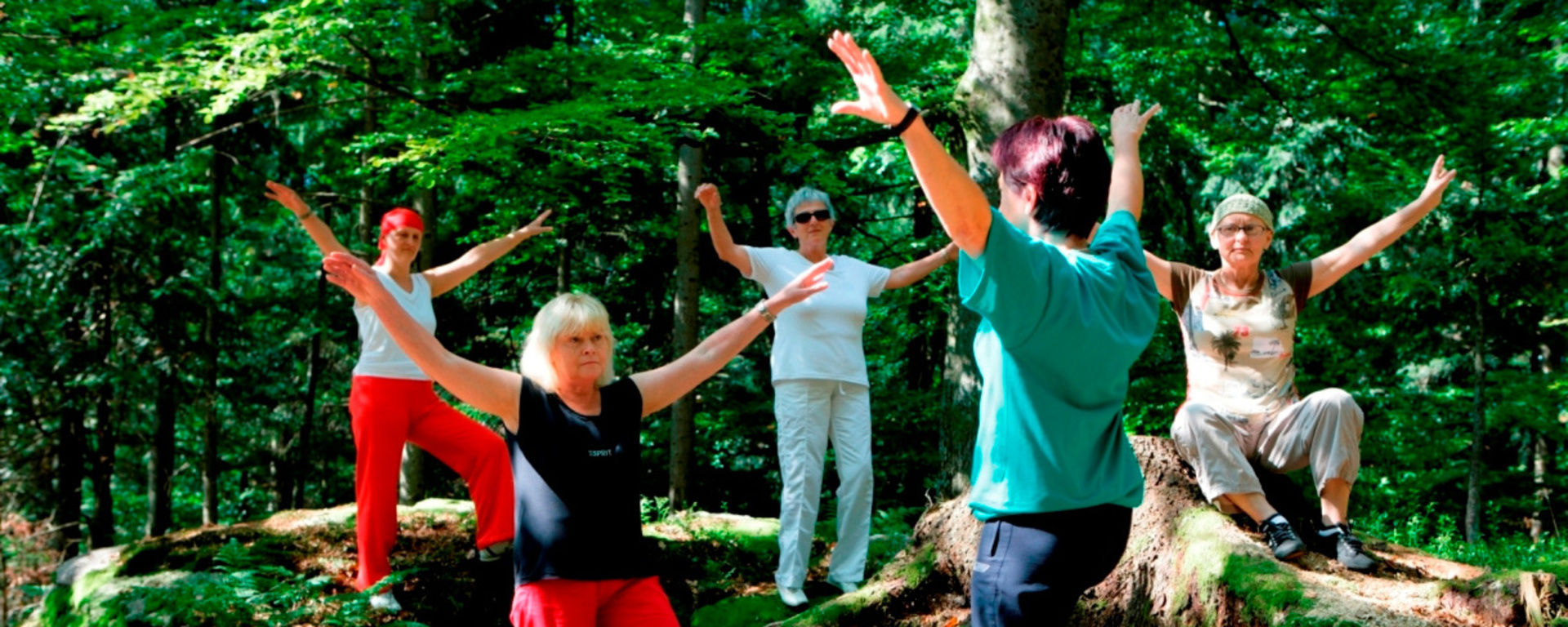 Damen beim Yoga auf großen Steinfelsen im Wald
