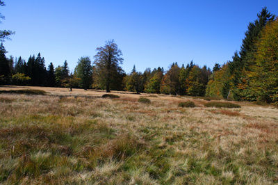 Wandern Nationalpark Bayerischer Wald