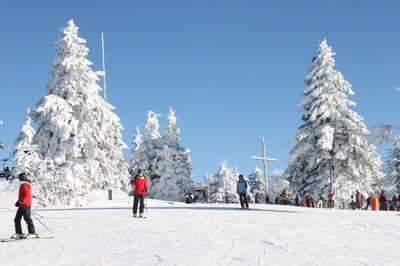 Große Skipisten Abfahrt mit verschneiten Bäumen und vielen Skifahrern