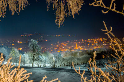 Freynug bei Nacht umgeben von großen, verschneiten Bäumen