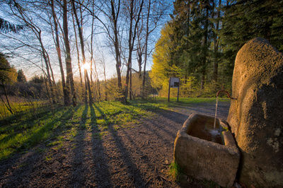 Sonniges Plätzchen im Wald mit einem Wasserlauf aus einem Stein