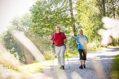 Zwei Wanderer mit Stöcken blicken in die schöne grüne Natur