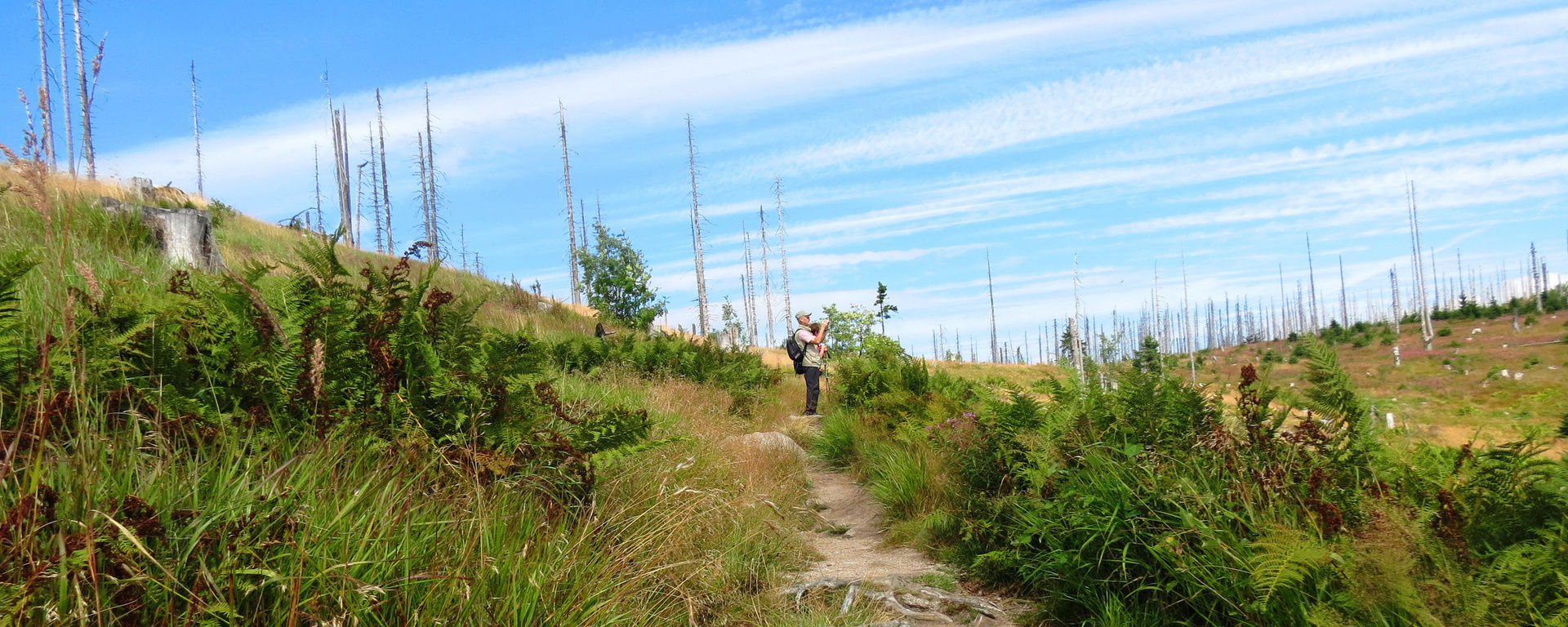 Nationalpark Bayerischer Wald