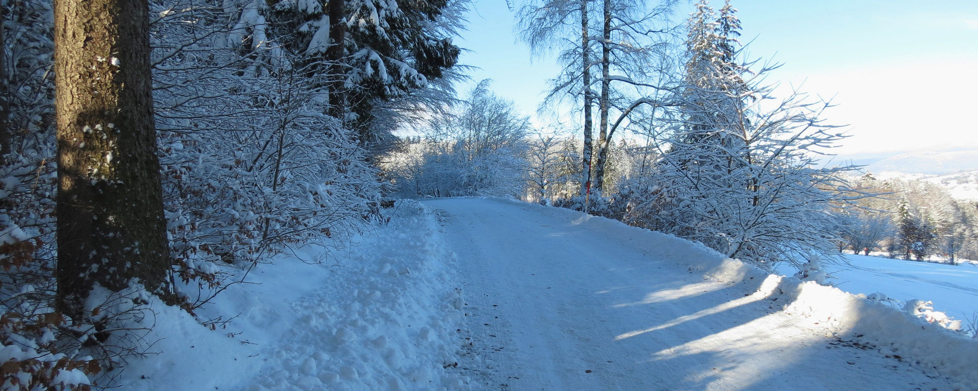 Verschneiter Wanderweg entlang des Waldes